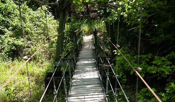 chalk ridge suspension bridge