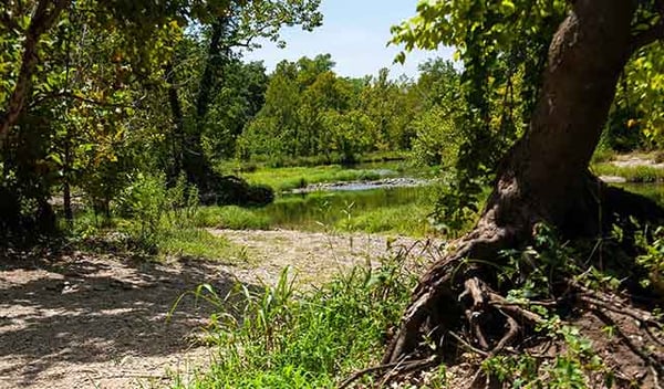 lampasas river