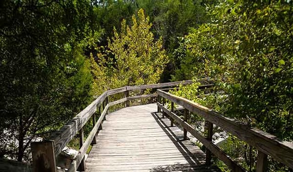 chalk ridge wooden pathway