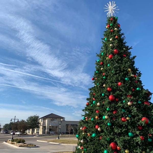 westfield-market-christmas-tree