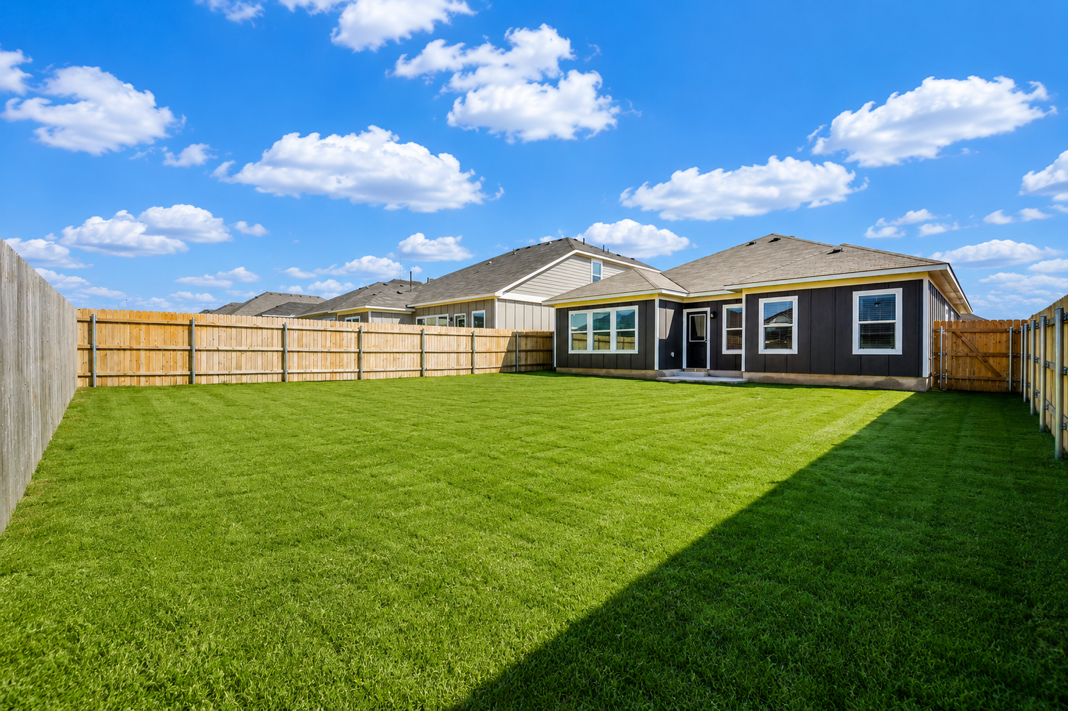 2015 Ratibor backyard