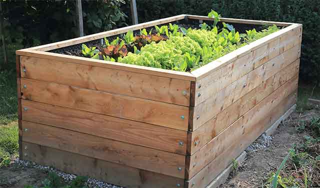 raised-bed-garden