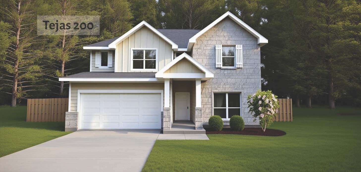 Tejas 200 with elevation